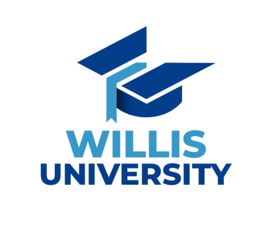 Dapo Willis University - Forex Millionaire